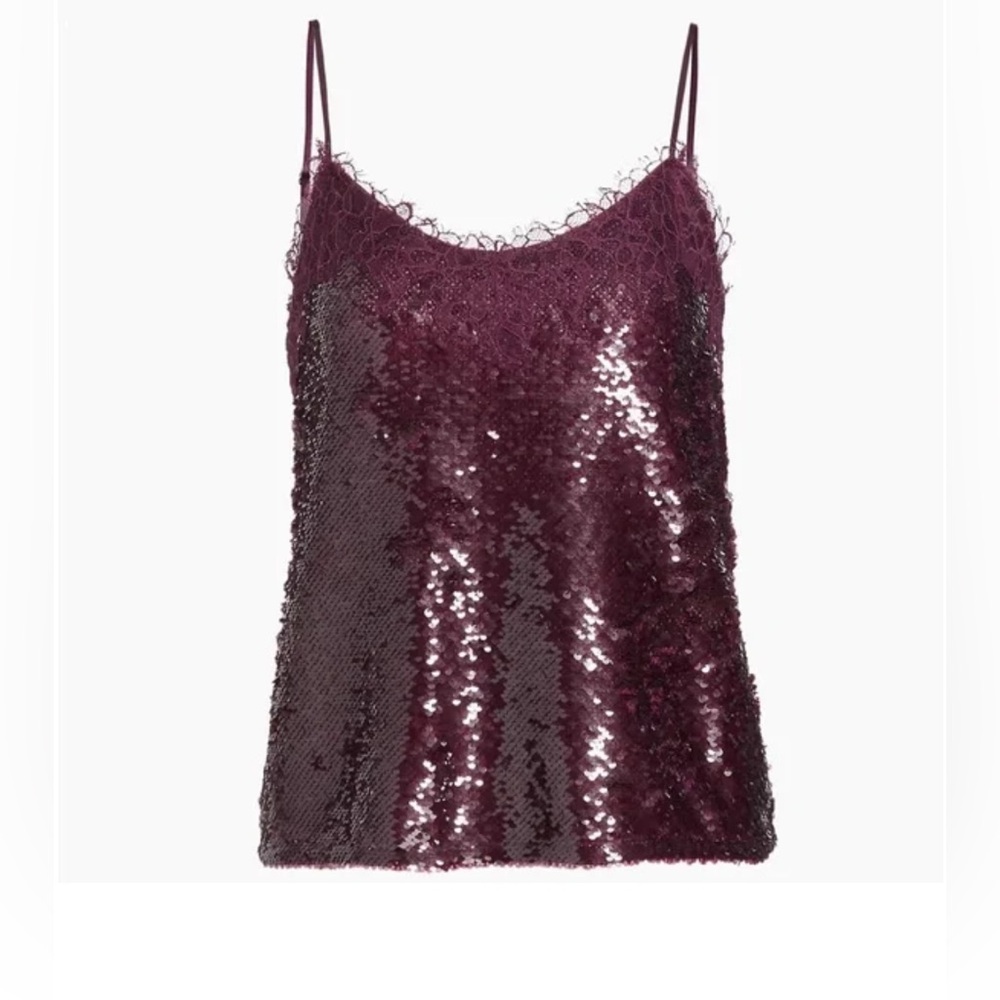 Jonathan Simkhai Burgundy Sequined Lace Tank